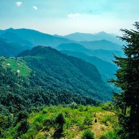 Hotel Bliss Valley Dharamshala - Beautiful View Of Mountains From Rooms Kültér fotó