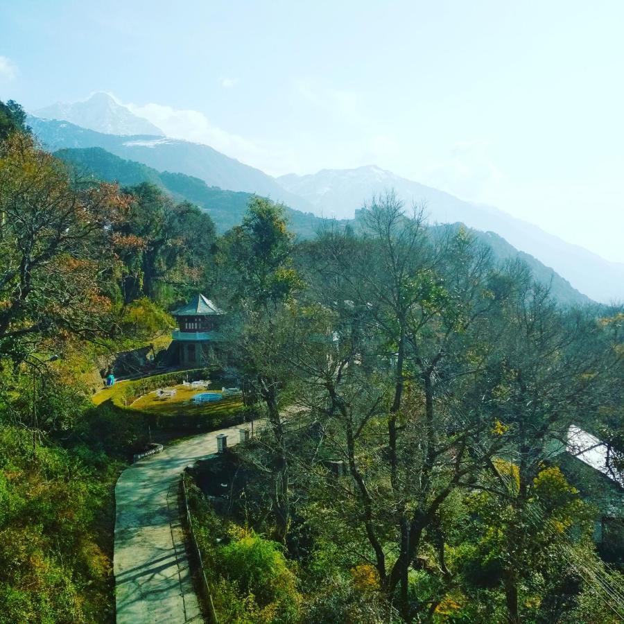 Hotel Bliss Valley Dharamshala - Beautiful View Of Mountains From Rooms Kültér fotó