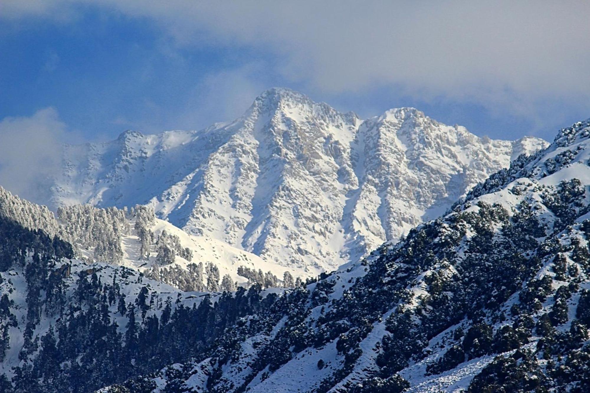 Hotel Bliss Valley Dharamshala - Beautiful View Of Mountains From Rooms Kültér fotó