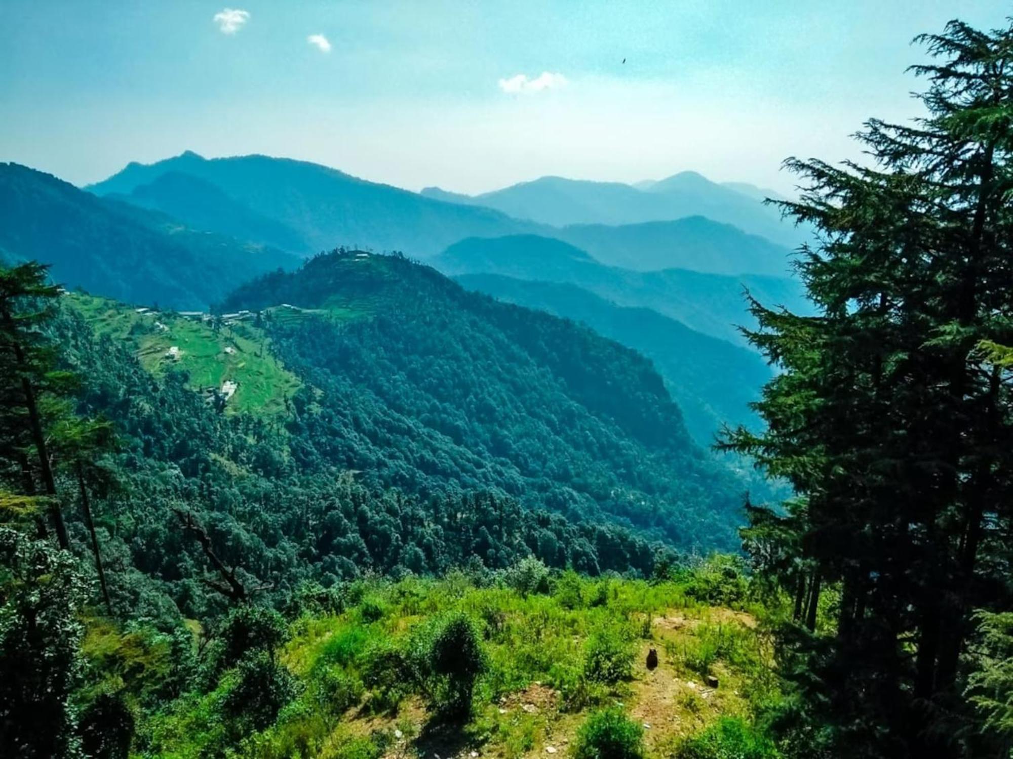 Hotel Bliss Valley Dharamshala - Beautiful View Of Mountains From Rooms Kültér fotó